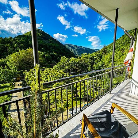 Family Hotel Mountain Panorama 보르조미 외부 사진