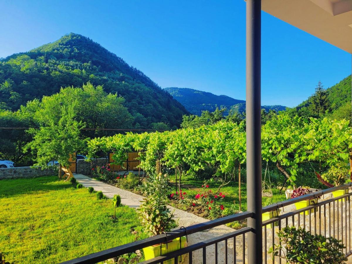Family Hotel Mountain Panorama 보르조미 외부 사진