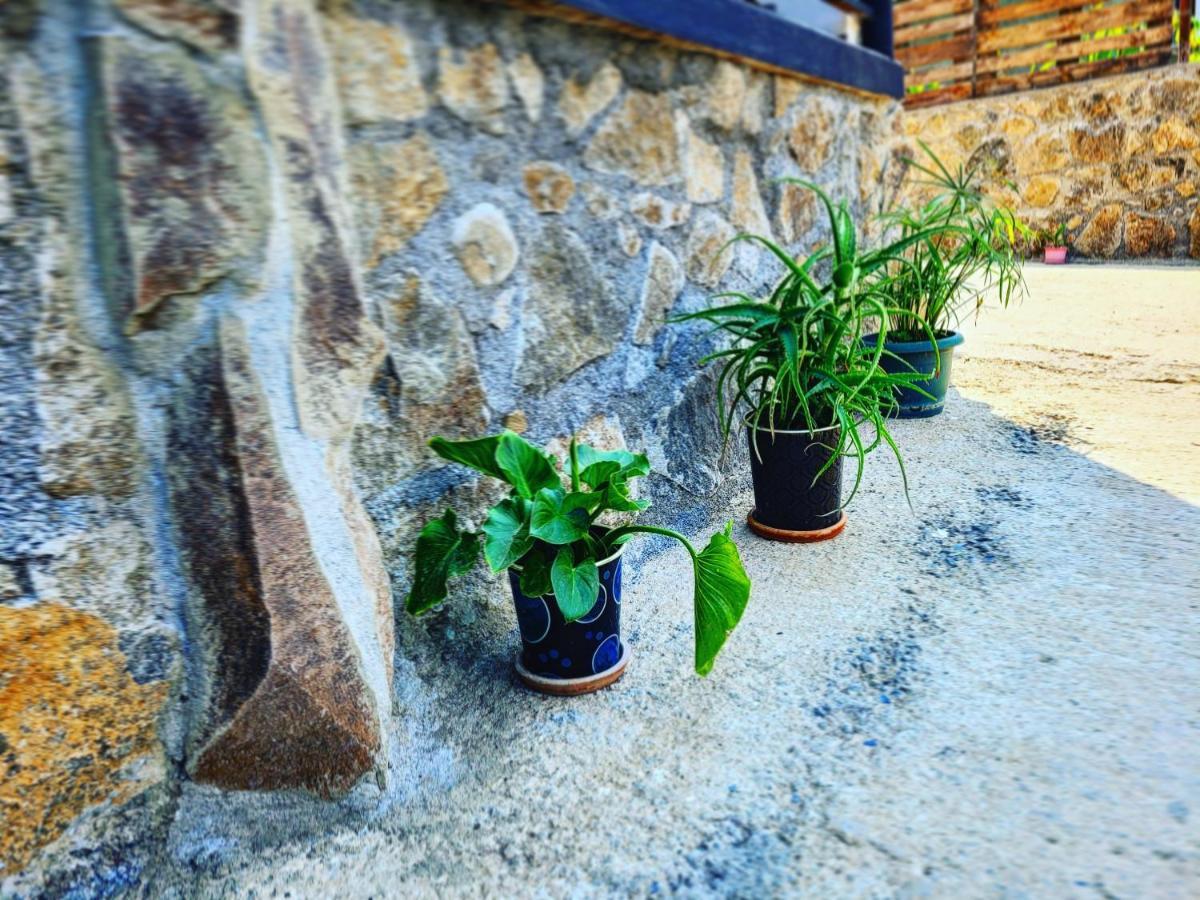 Family Hotel Mountain Panorama 보르조미 외부 사진