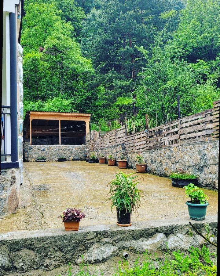 Family Hotel Mountain Panorama 보르조미 외부 사진