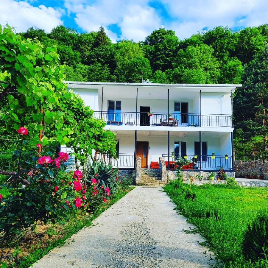 Family Hotel Mountain Panorama 보르조미 외부 사진