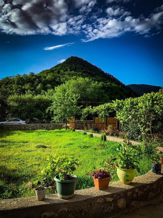 Family Hotel Mountain Panorama 보르조미 외부 사진