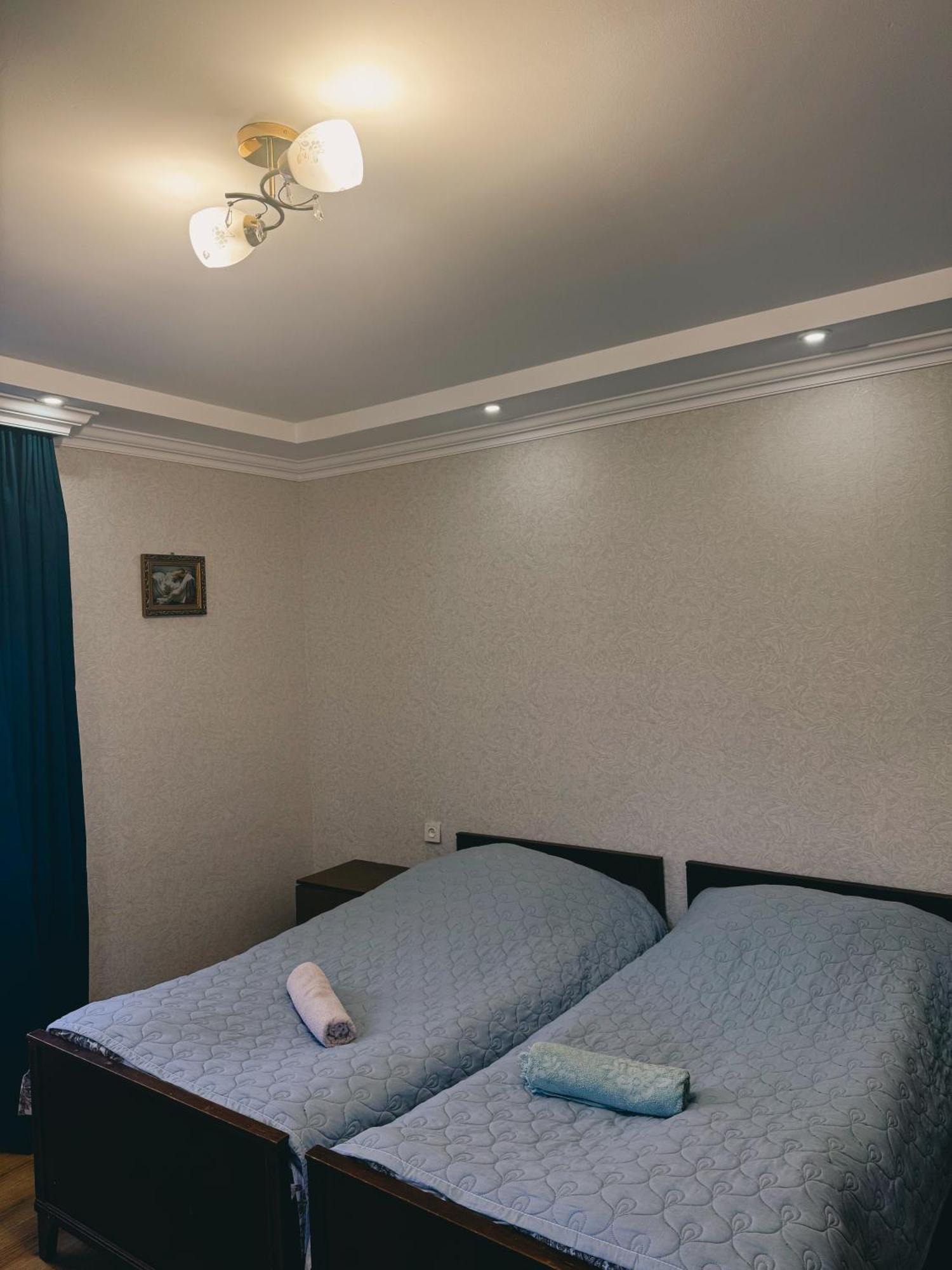 Family Hotel Mountain Panorama 보르조미 외부 사진