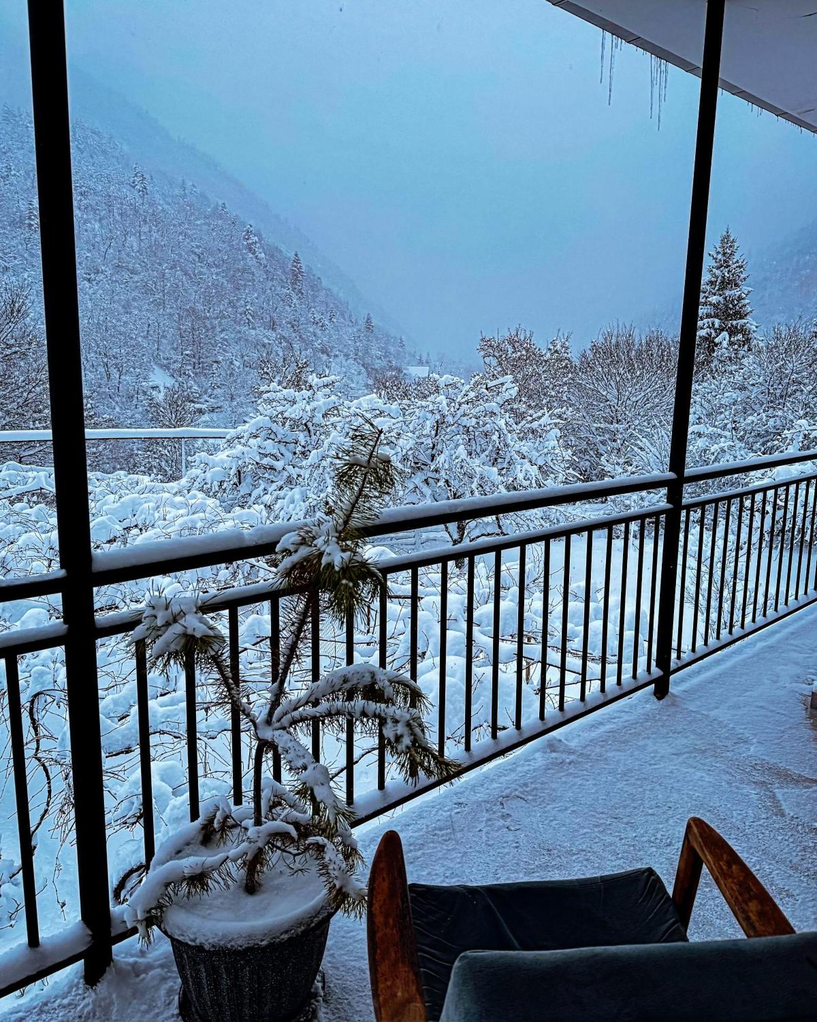 Family Hotel Mountain Panorama 보르조미 외부 사진
